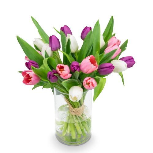 Kytice  tulipánů